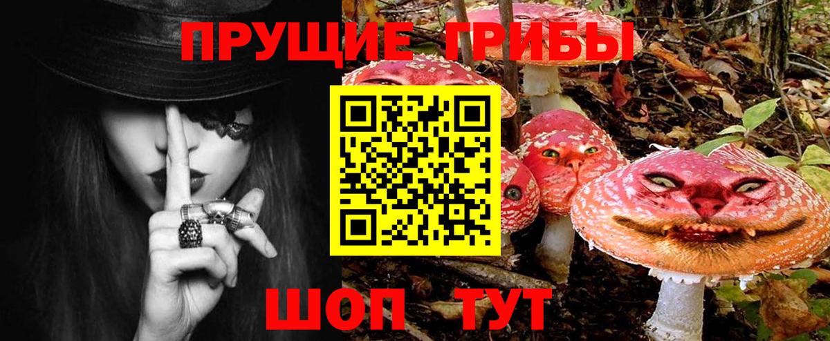 Северск  Псилоцибиновые грибы ЛСД  Вход с VPN  Галлюциногенные грибы GOLDEN TEACHER 