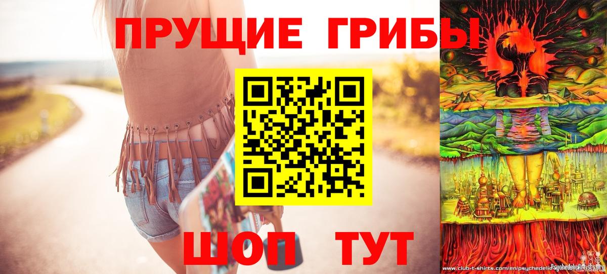 Псилоцибиновые грибы GOLDEN TEACHER Северск